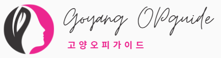 고양오피가이드